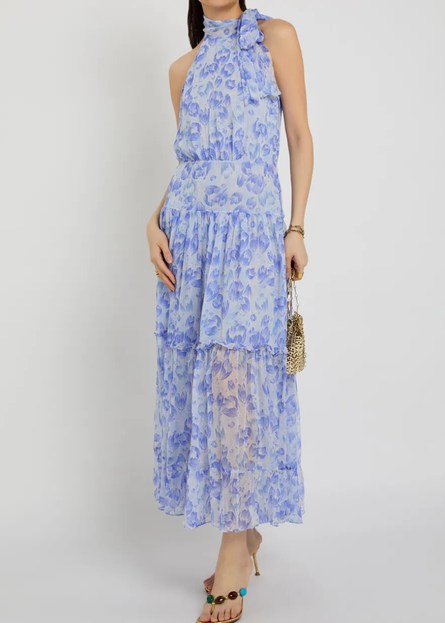 Abi floral-print chiffon maxi dress