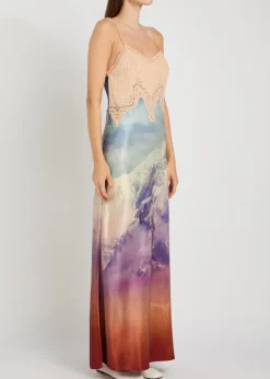 Adolphine printed lace and silk maxi dress