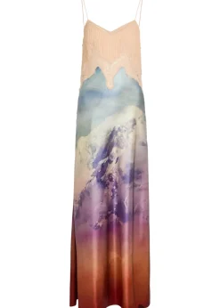Adolphine printed lace and silk maxi dress