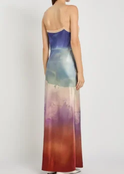 Adolphine printed lace and silk maxi dress