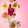 Biggie Biggie Beija Flor Elasti-Cream 500ml
