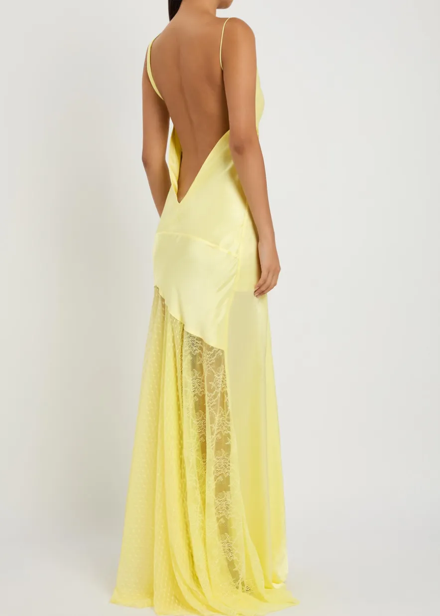 Bijou lace and silk maxi dress
