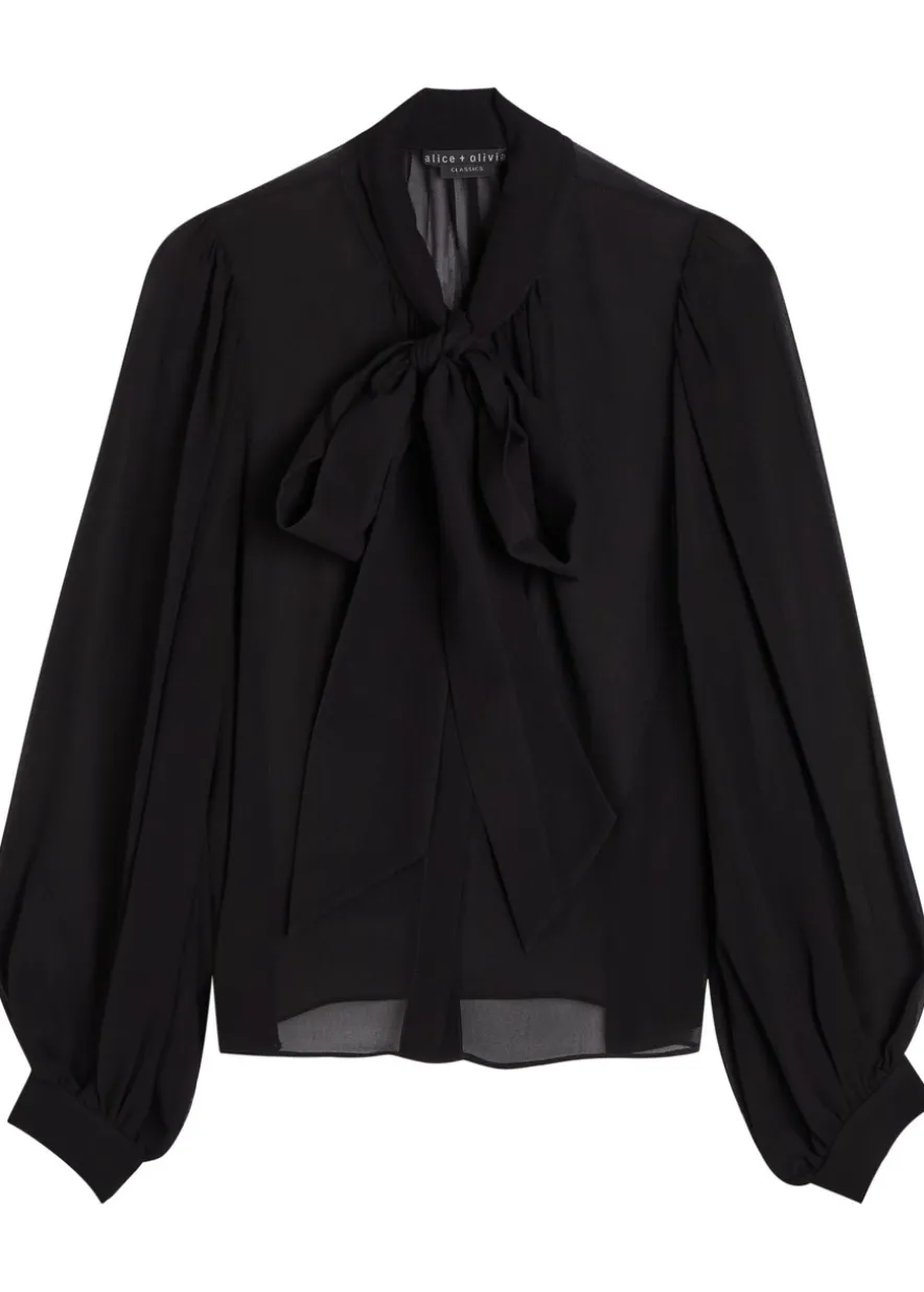 Brentley semi-sheer chiffon blouse