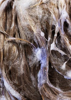 Bright Blonde Shampoo for Beautiful Color