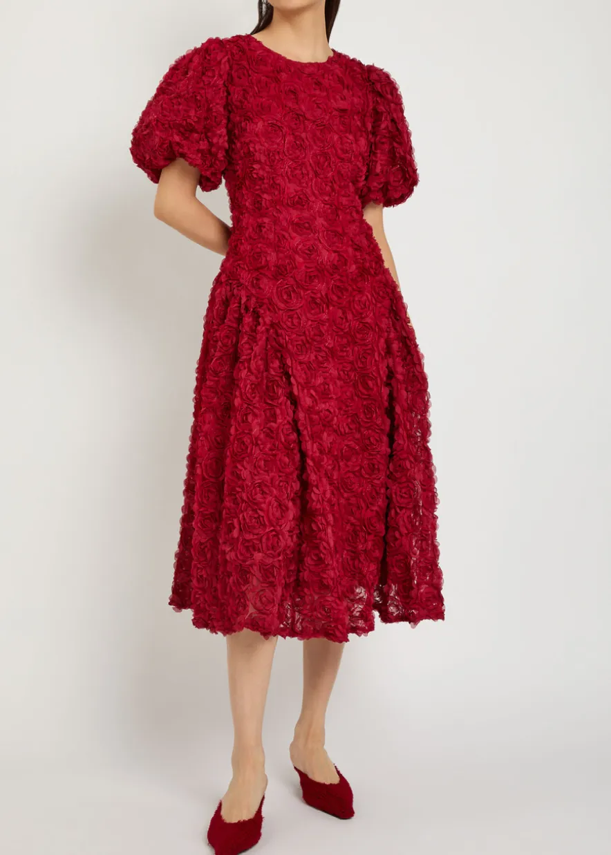 Cabaret floral-appliquéd tulle midi dress