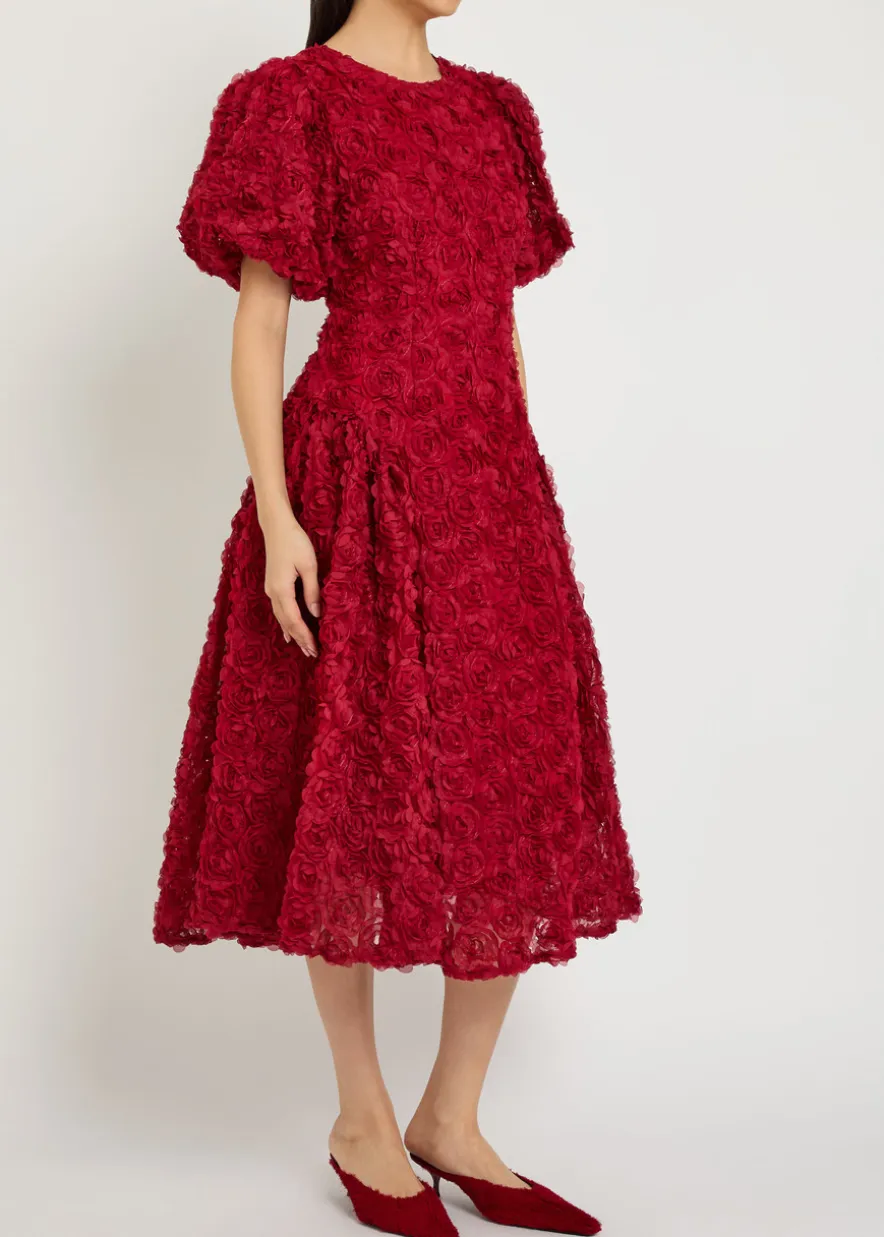 Cabaret floral-appliquéd tulle midi dress