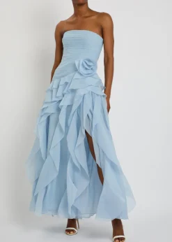 Canyon floral-appliqué chiffon gown