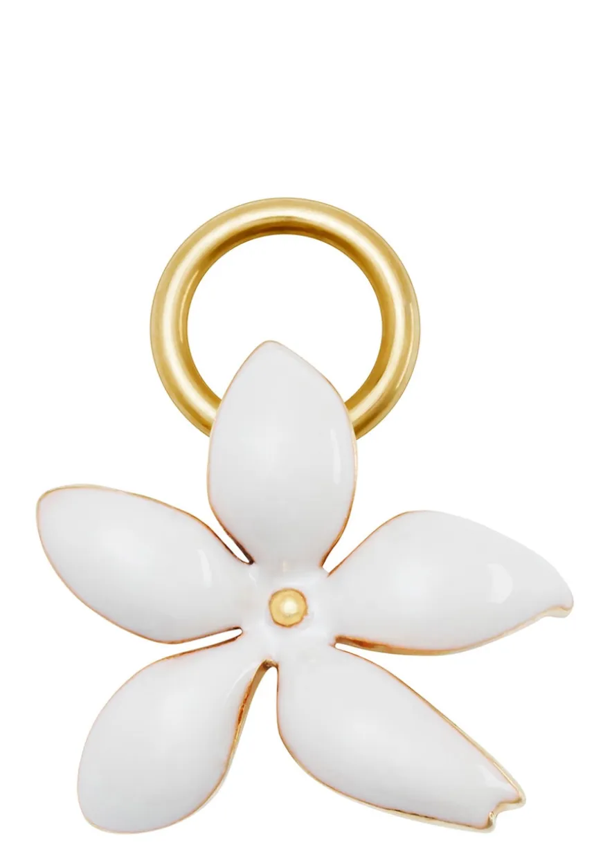Charm