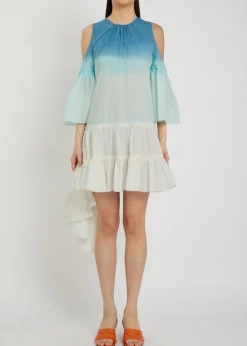 Dégradé ruffled cotton-poplin mini dress