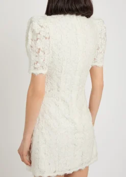 Dillon crystal and sequin-embellished lace mini dress
