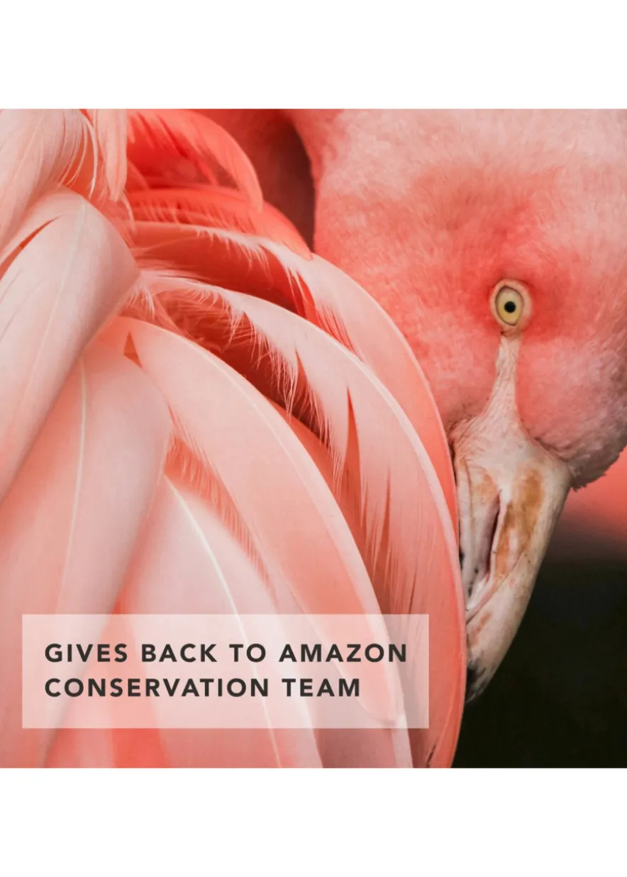 Flamingo Dawn Eye Trio