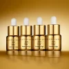 Gold Recovery Intense Concentrate PM 6ml