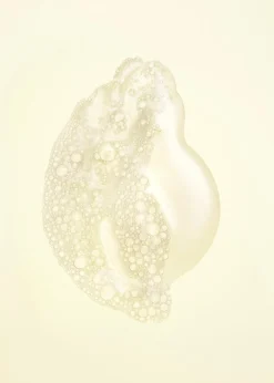 Hair Alchemy Resilience Shampoo