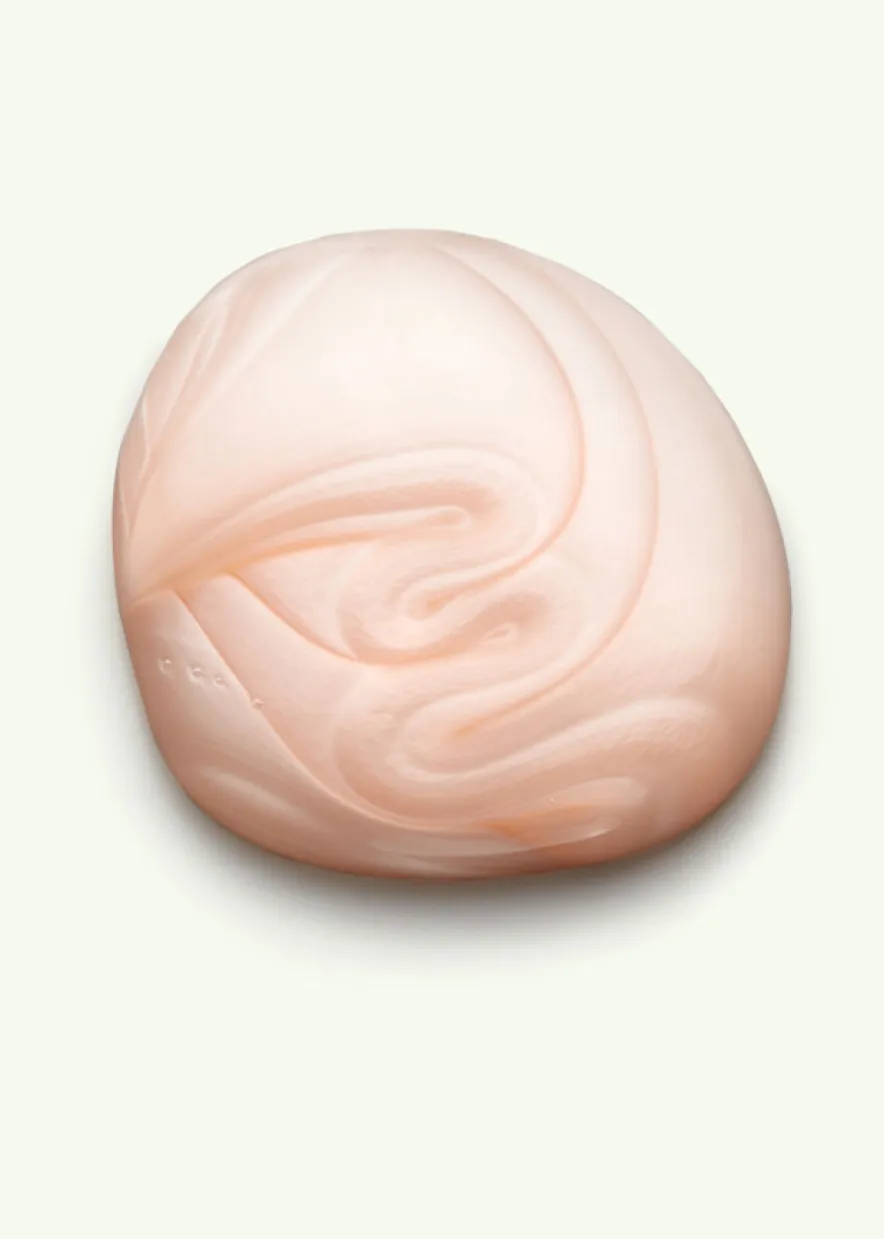Head & Hair Heal Shampoo