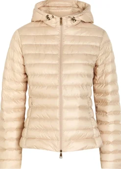 Igelhood padded hooded nylon jacket