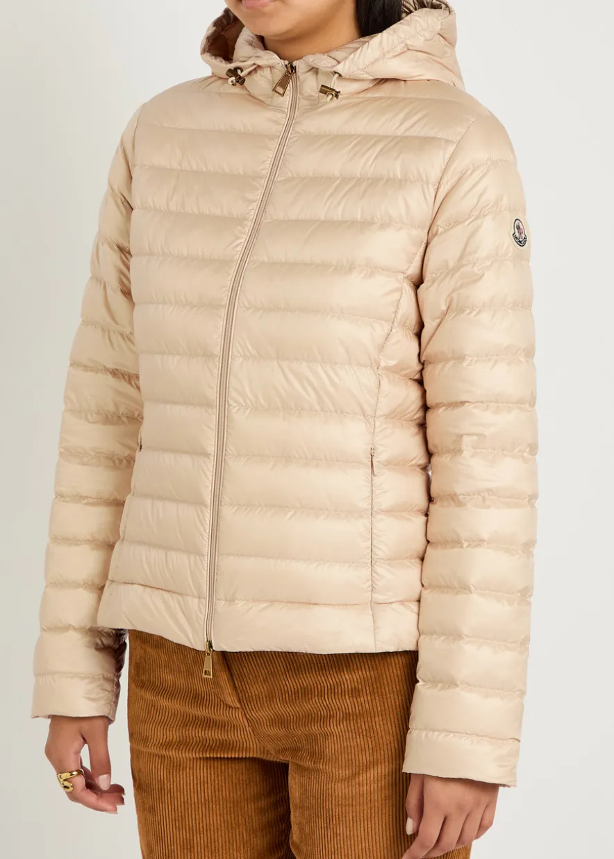 Igelhood padded hooded nylon jacket
