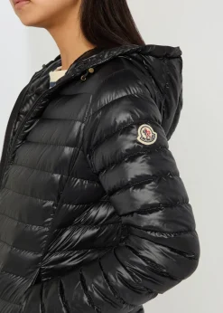 Igelhood padded hooded nylon jacket