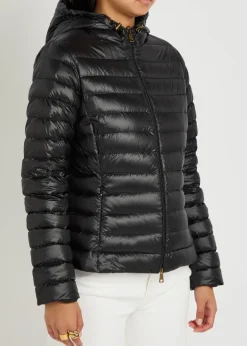 Igelhood padded hooded nylon jacket