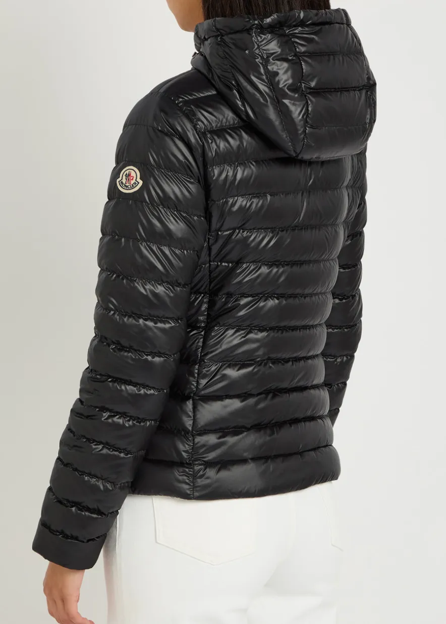 Igelhood padded hooded nylon jacket