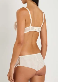 Intrigue embroidered tulle briefs