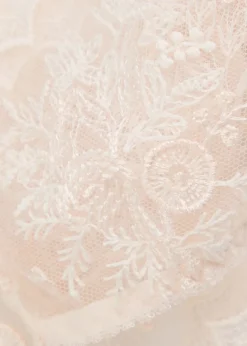 Intrigue Tanga embroidered tulle briefs