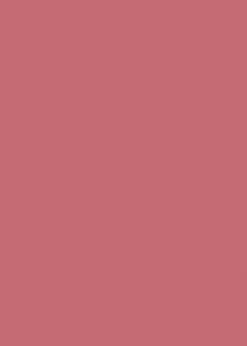 Lip Maestro Satin