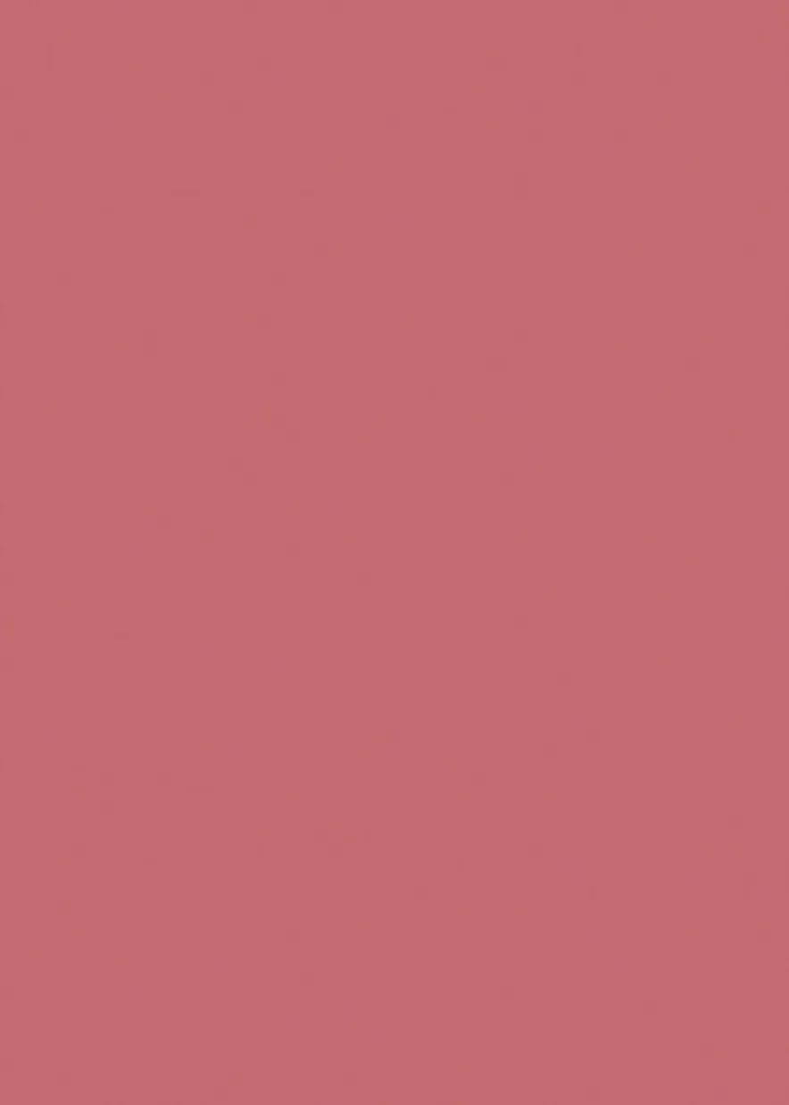Lip Maestro Satin