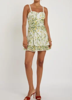 Meredith floral-embroidered cotton mini dress