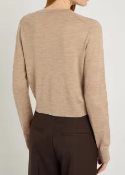Moni wool and cashmere-blend cardigan