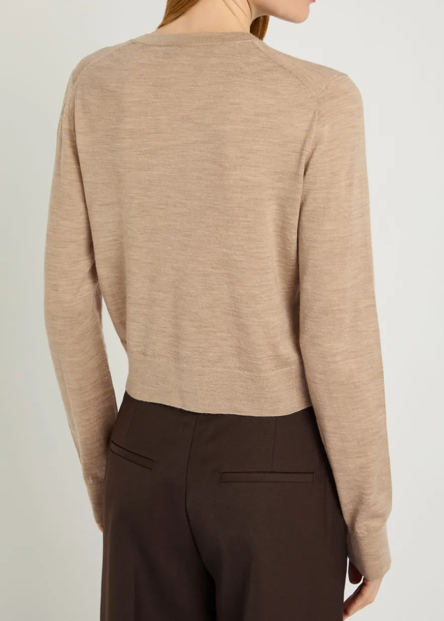 Moni wool and cashmere-blend cardigan