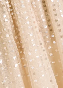 Moonlight sequin-embellished tulle gown