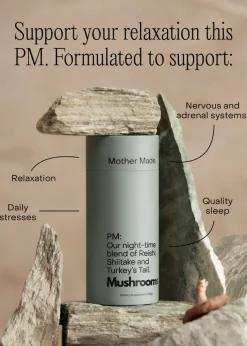 Mushroom Powder - PM Blend 220g