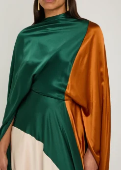 Neolitsea draped colour-block silk maxi dress