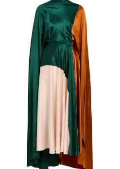 Neolitsea draped colour-block silk maxi dress
