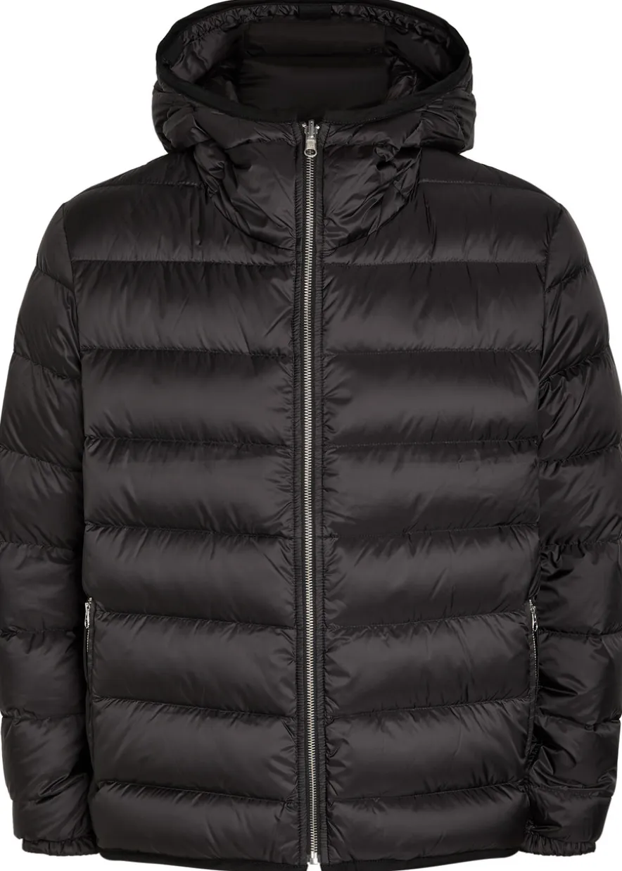 Padded hooded nylon jacket