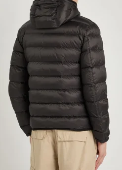 Padded hooded nylon jacket