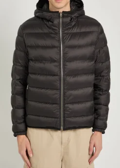 Padded hooded nylon jacket