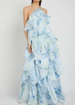 Pandorea ruffled chiffon maxi dress