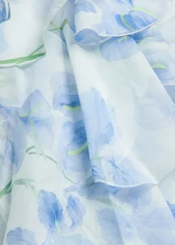 Pandorea ruffled chiffon maxi dress