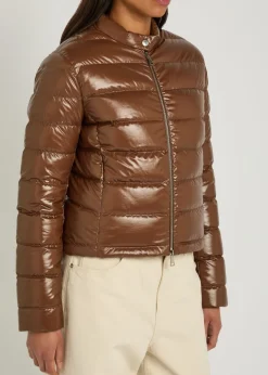 Papillon padded glossed shell jacket
