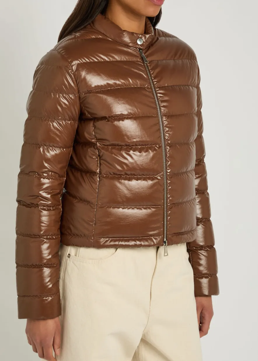 Papillon padded glossed shell jacket