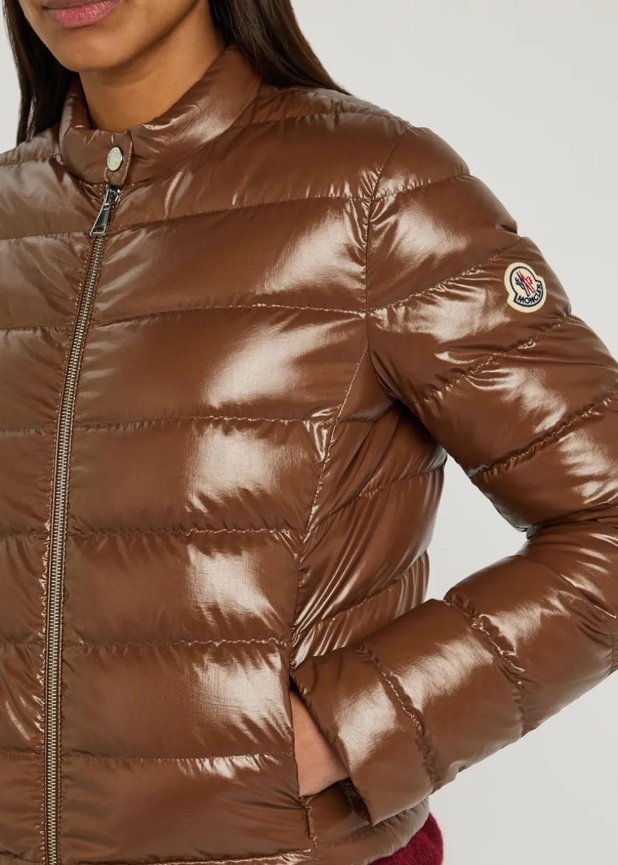 Papillon padded glossed shell jacket