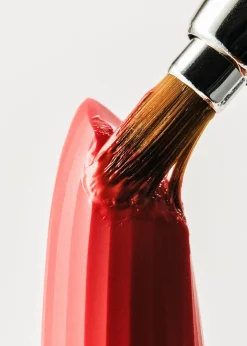 Precision Lip Brush