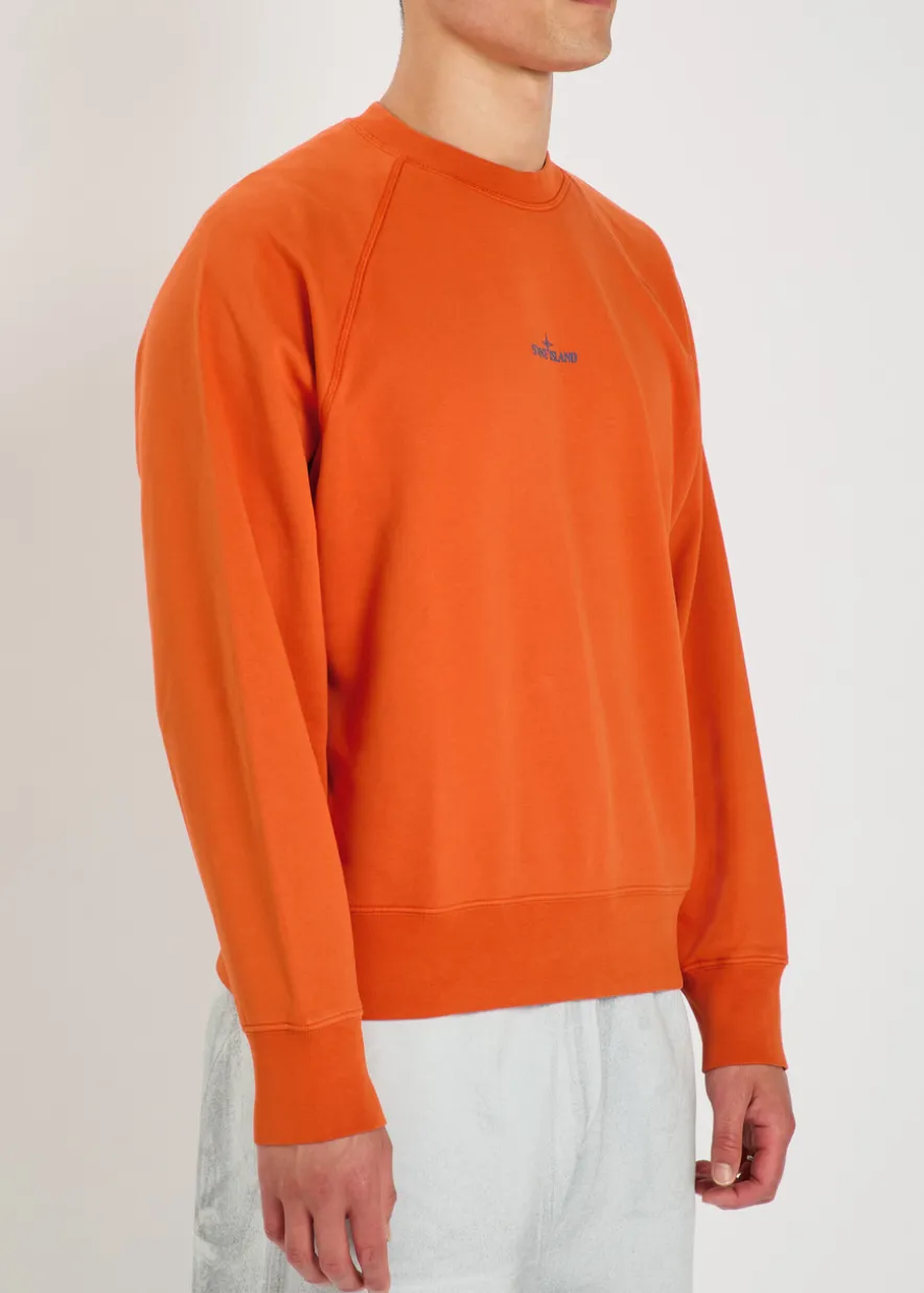 Printed cotton sweatshirt