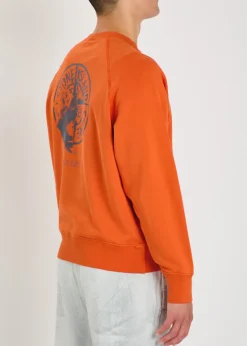 Printed cotton sweatshirt