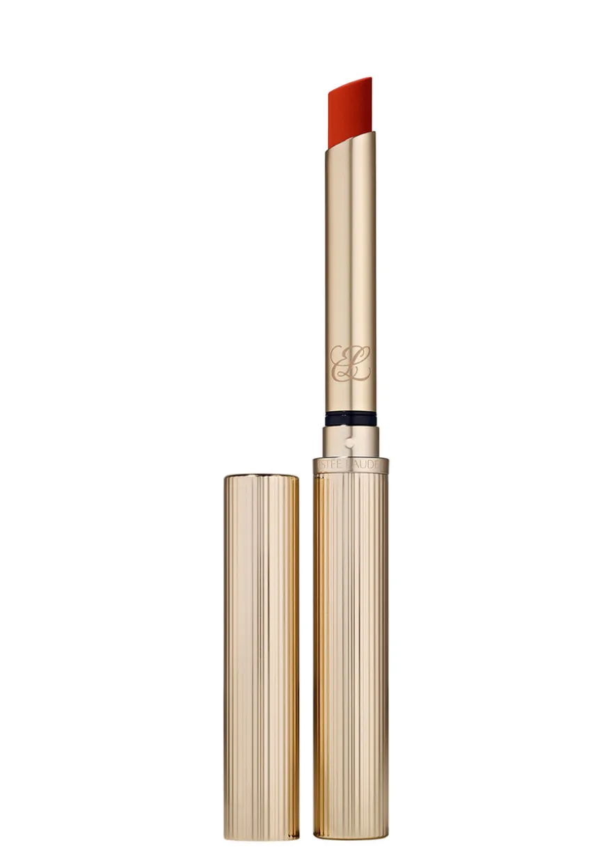 Pure Color Explicit Silk Matte Lipstick