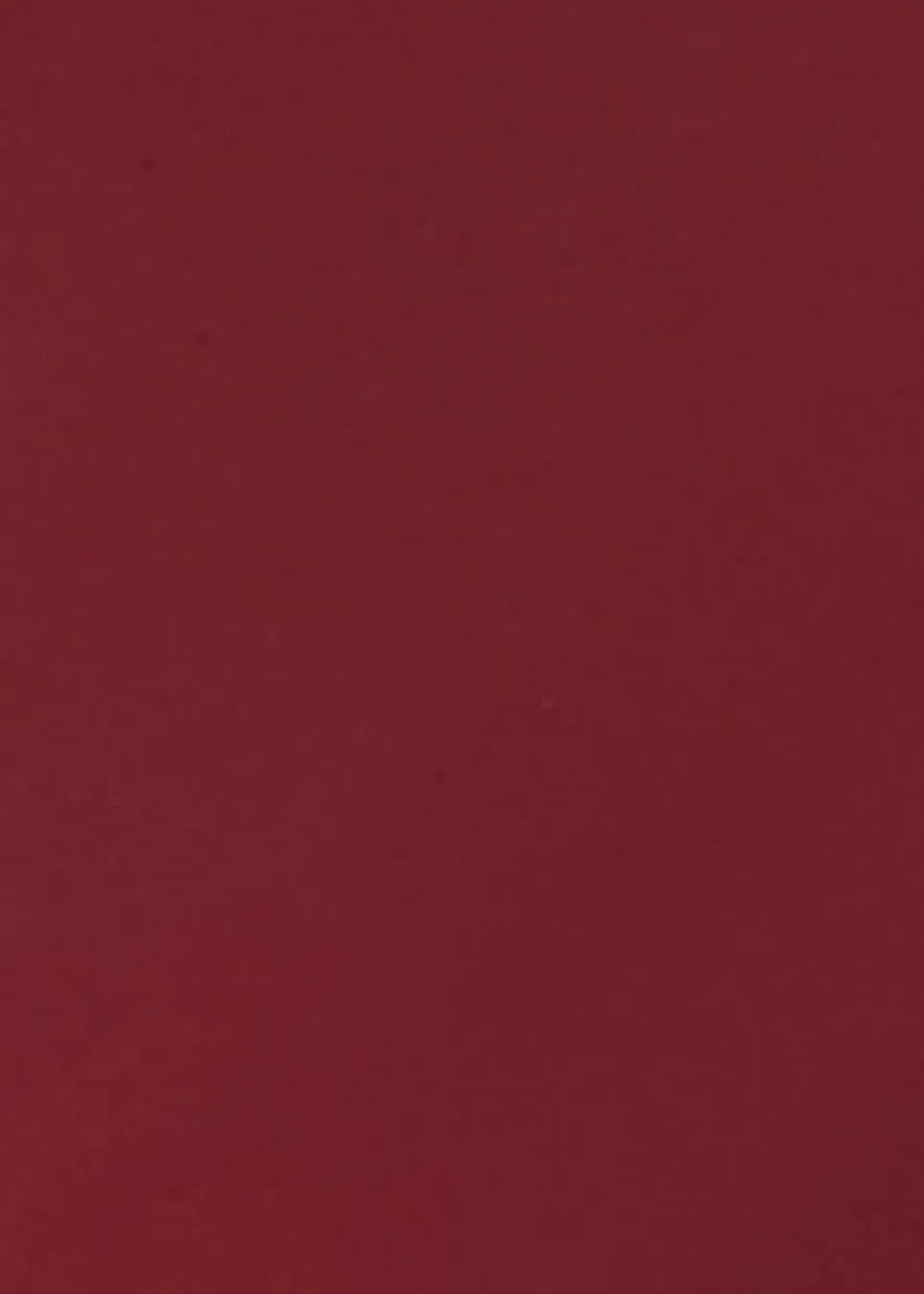 Pure Colour Melt-On Glosstick