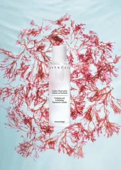Purifying And Exfoliating Phytoactive Solution