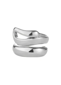 Sees silver ring