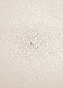 Serene Scalp Densifying Treatment